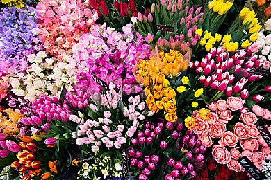 小岛秀夫：艾丽·范宁将在《死亡搁浅2》中扮演核心角色